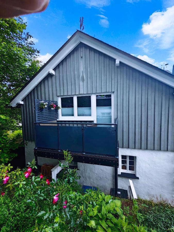Apartment Platzhirsch Fuer 2 - 4 Pers. Winterberg